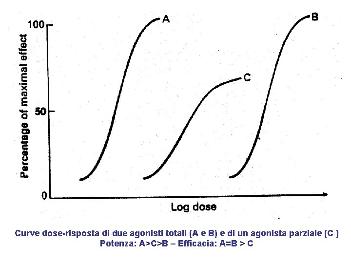 Curve dose-risposta di due agonisti totali (A e B) e di un agonista parziale