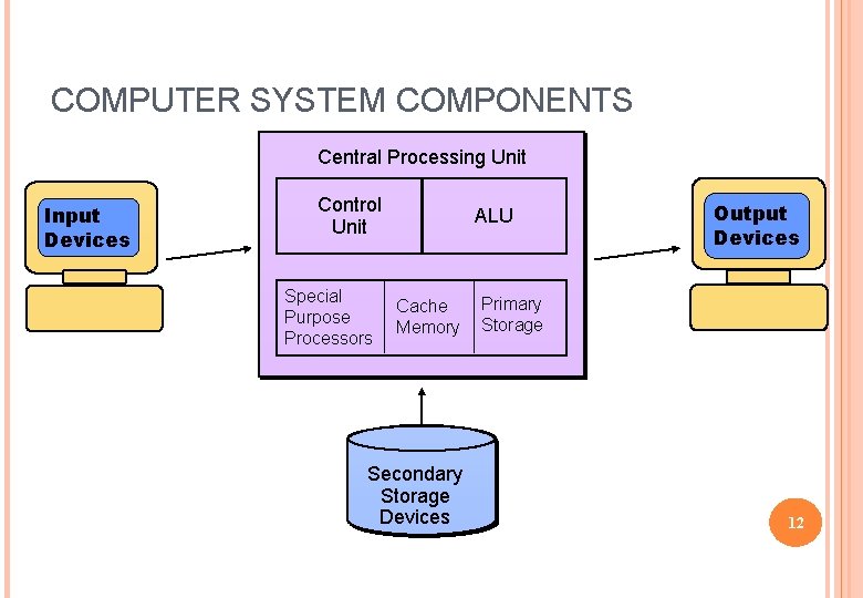 COMPUTER SYSTEM COMPONENTS Central Processing Unit Input Devices Control Unit Special Purpose Processors ALU