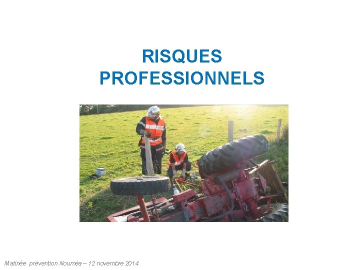 RISQUES PROFESSIONNELS Matinée prévention Nouméa – 12 novembre 2014 