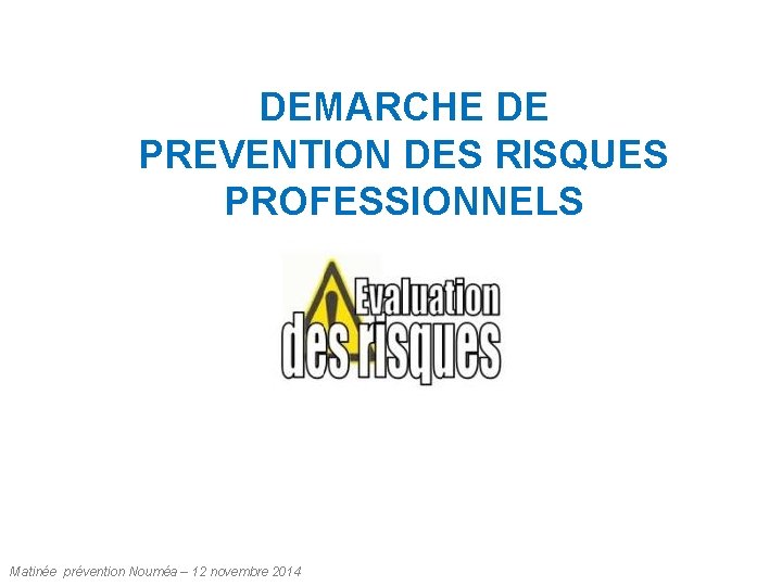 DEMARCHE DE PREVENTION DES RISQUES PROFESSIONNELS Matinée prévention Nouméa – 12 novembre 2014 