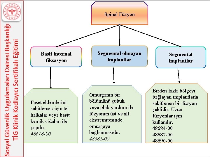 Spinal Füzyon Basit internal fiksasyon Faset eklemlerini sabitlemek için tel halkalar veya basit kemik