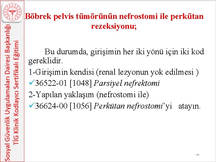 Böbrek pelvis tümörünün nefrostomi ile perkütan rezeksiyonu; Bu durumda, girişimin her iki yönü için