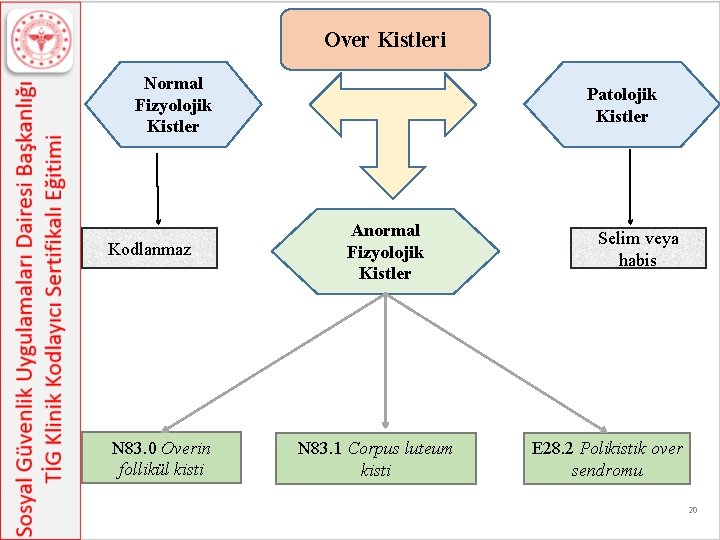 Over Kistleri Normal Fizyolojik Kistler Kodlanmaz N 83. 0 Overin follikül kisti Patolojik Kistler