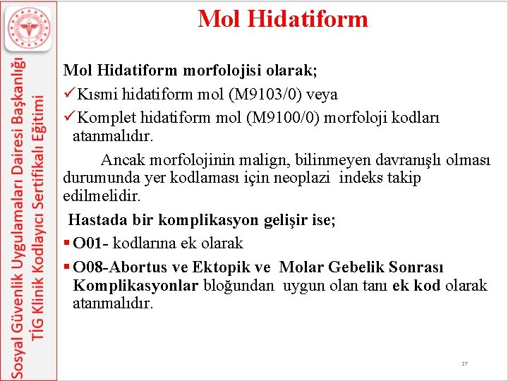 Mol Hidatiform morfolojisi olarak; üKısmi hidatiform mol (M 9103/0) veya üKomplet hidatiform mol (M