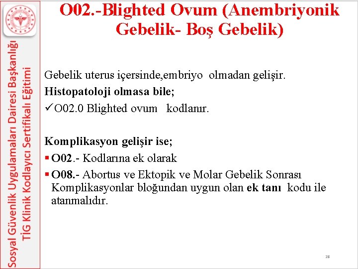 O 02. -Blighted Ovum (Anembriyonik Gebelik- Boş Gebelik) Gebelik uterus içersinde, embriyo olmadan gelişir.