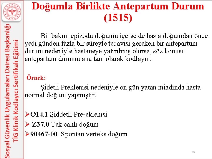 Doğumla Birlikte Antepartum Durum (1515) Bir bakım epizodu doğumu içerse de hasta doğumdan önce