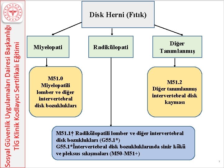 Disk Herni (Fıtık) Miyelopati M 51. 0 Miyelopatili lomber ve diğer intervertebral disk bozuklukları