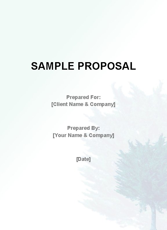 SAMPLE PROPOSAL Prepared For: [Client Name & Company] Prepared By: [Your Name & Company]
