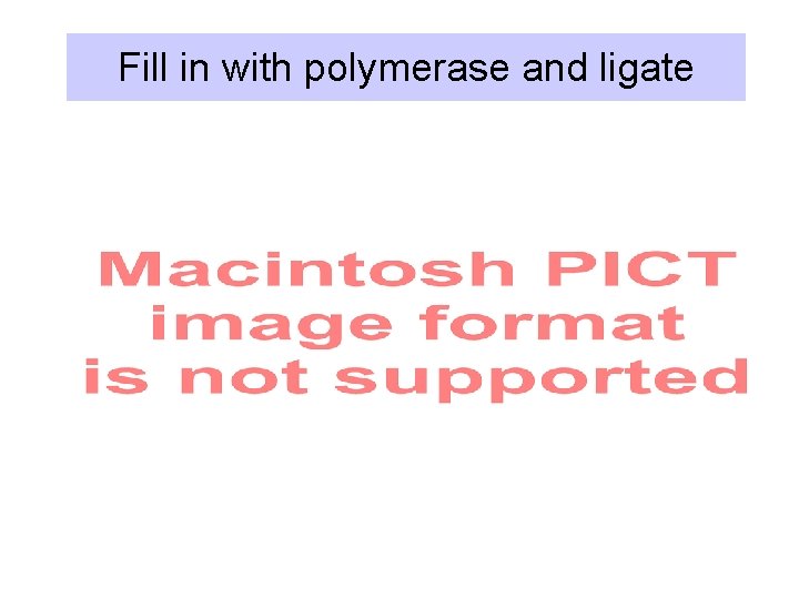 Fill in with polymerase and ligate 