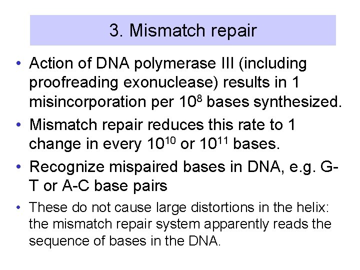 3. Mismatch repair • Action of DNA polymerase III (including proofreading exonuclease) results in