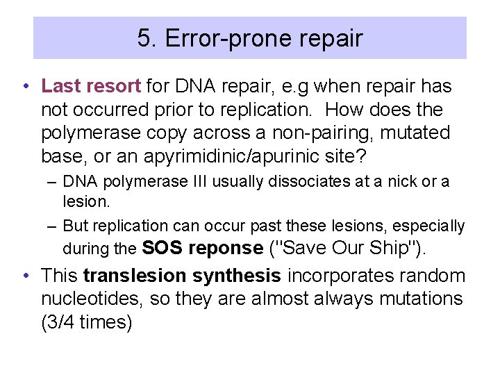 5. Error-prone repair • Last resort for DNA repair, e. g when repair has
