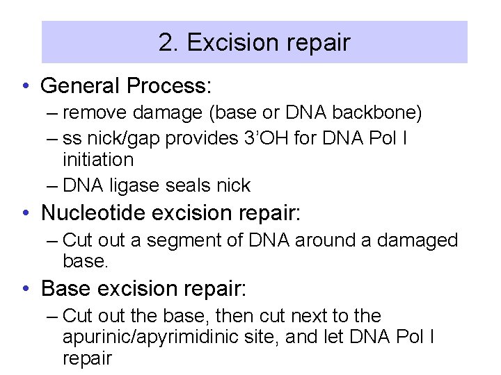 2. Excision repair • General Process: – remove damage (base or DNA backbone) –