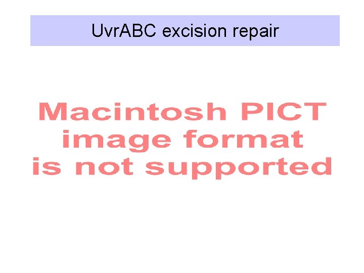 Uvr. ABC excision repair 