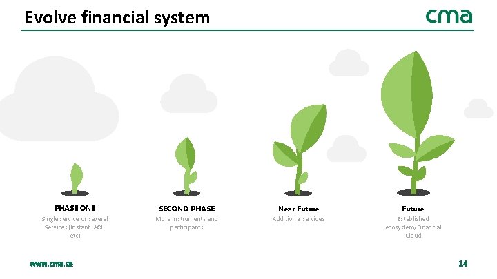 Evolve financial system PHASE ONE Single service or several Services (Instant, ACH etc) www.