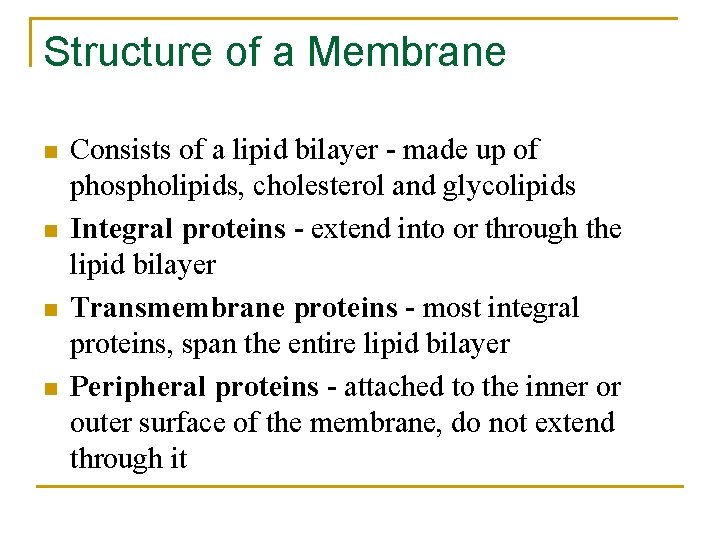 Structure of a Membrane n n Consists of a lipid bilayer - made up