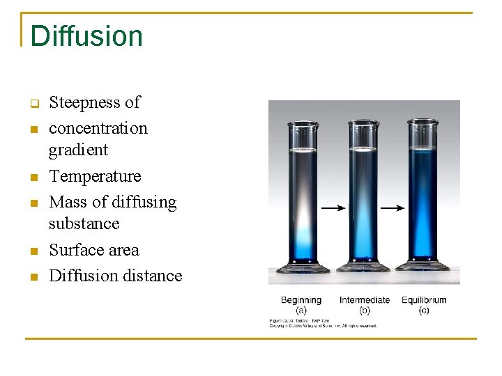 Diffusion q n n n Steepness of concentration gradient Temperature Mass of diffusing substance