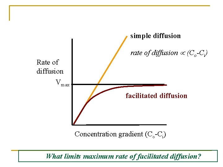 Simple vs. Facilitated Diffusion simple diffusion rate of diffusion (Co-Ci) Rate of diffusion Vmax