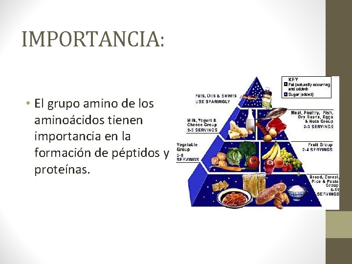 IMPORTANCIA: • El grupo amino de los aminoácidos tienen importancia en la formación de