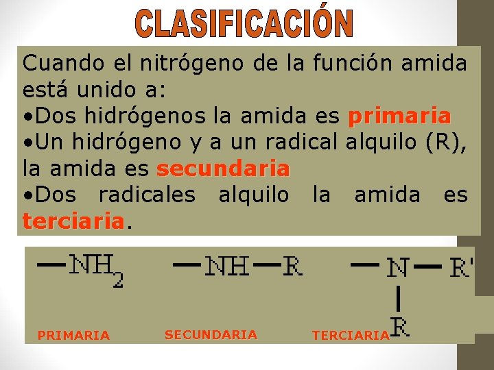 Cuando el nitrógeno de la función amida está unido a: • Dos hidrógenos la