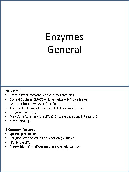 Enzymes General Enzymes: • Proteins that catalyze biochemical reactions • Eduard Buchner (1907) –