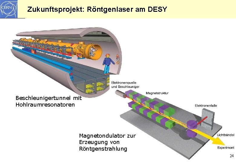 Zukunftsprojekt: Röntgenlaser am DESY Beschleunigertunnel mit Hohlraumresonatoren Magnetondulator zur Erzeugung von Röntgenstrahlung 24 