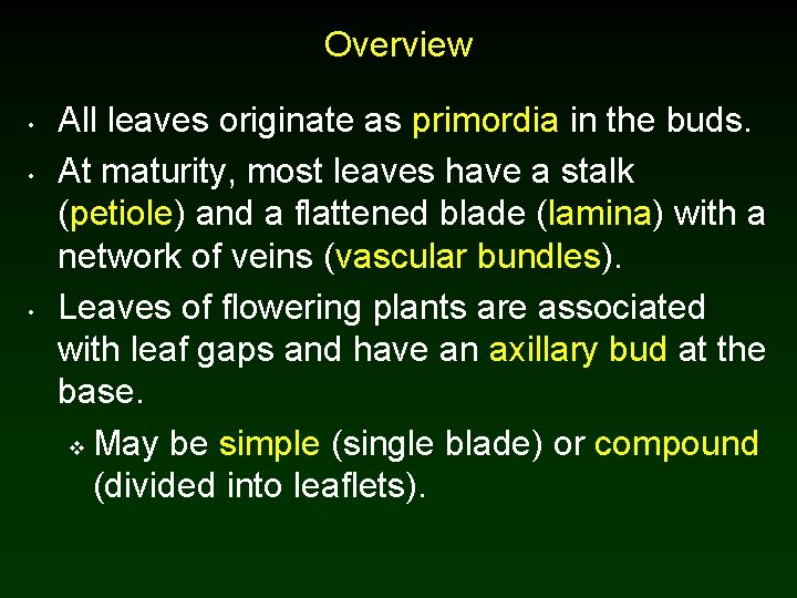 Overview • • • All leaves originate as primordia in the buds. At maturity,