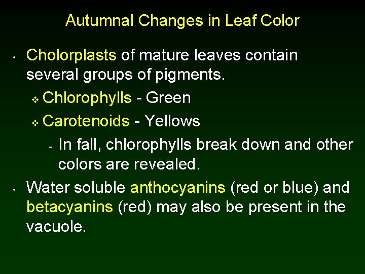 Autumnal Changes in Leaf Color • • Cholorplasts of mature leaves contain several groups