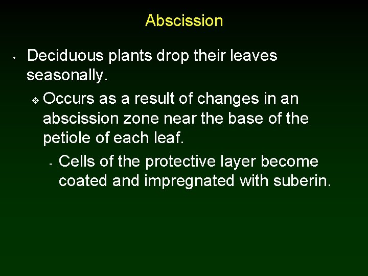 Abscission • Deciduous plants drop their leaves seasonally. v Occurs as a result of