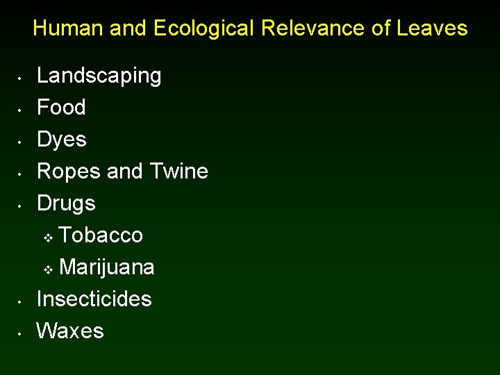 Human and Ecological Relevance of Leaves • • Landscaping Food Dyes Ropes and Twine