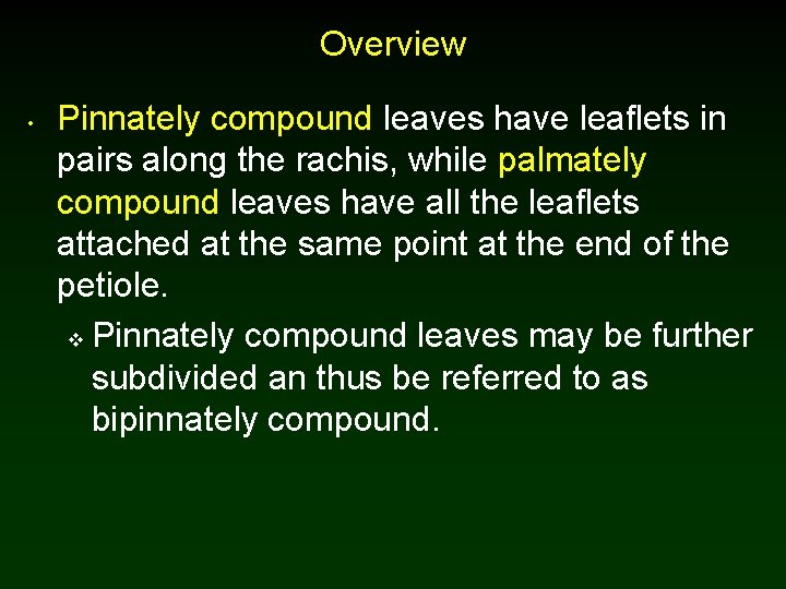 Overview • Pinnately compound leaves have leaflets in pairs along the rachis, while palmately