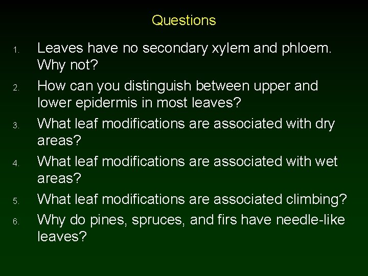 Questions 1. 2. 3. 4. 5. 6. Leaves have no secondary xylem and phloem.