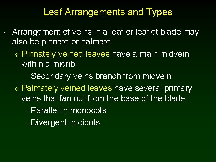Leaf Arrangements and Types • Arrangement of veins in a leaf or leaflet blade