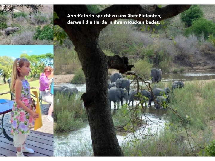 Ann-Kathrin spricht zu uns über Elefanten, derweil die Herde in ihrem Rücken badet. 