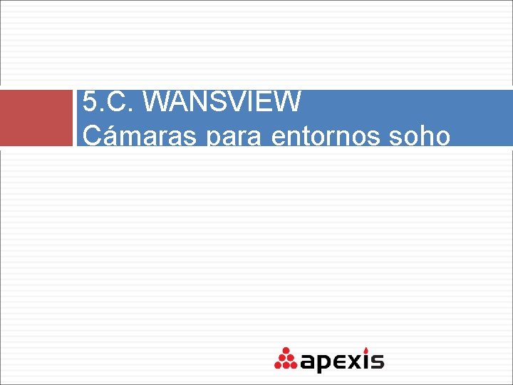 5. C. WANSVIEW Cámaras para entornos soho 