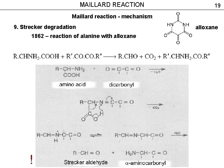 MAILLARD REACTION 19 Maillard reaction - mechanism 9. Strecker degradation 1862 – reaction of