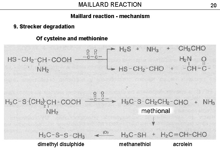 MAILLARD REACTION 20 Maillard reaction - mechanism 9. Strecker degradation Of cysteine and methionine