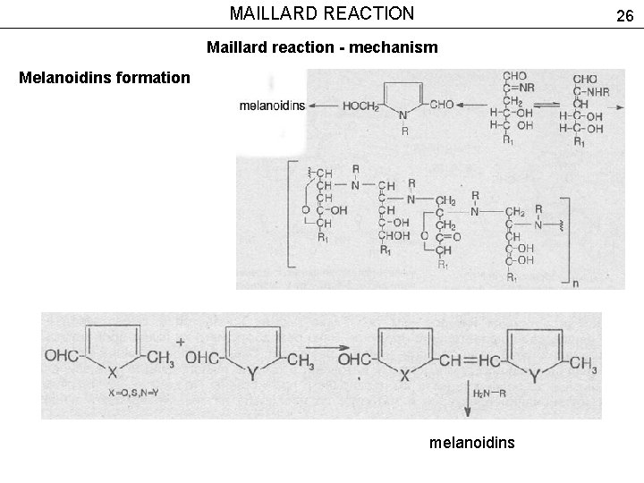 MAILLARD REACTION 26 Maillard reaction - mechanism Melanoidins formation melanoidins 