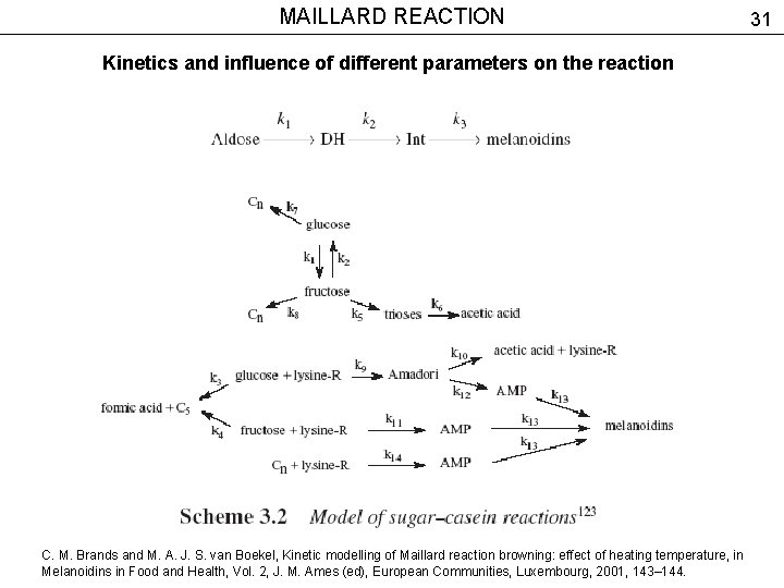 MAILLARD REACTION Kinetics and influence of different parameters on the reaction C. M. Brands