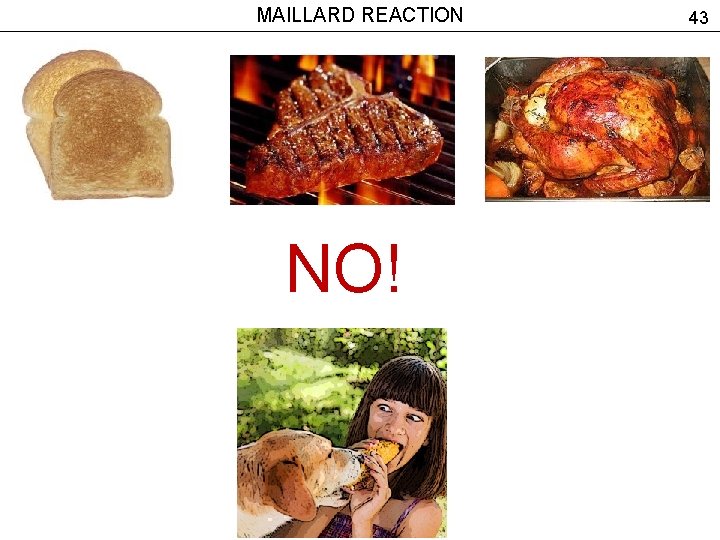 MAILLARD REACTION NO! 43 