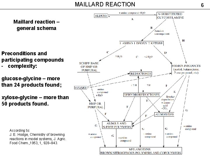MAILLARD REACTION Maillard reaction – general schema Preconditions and participating compounds - complexity: glucose-glycine