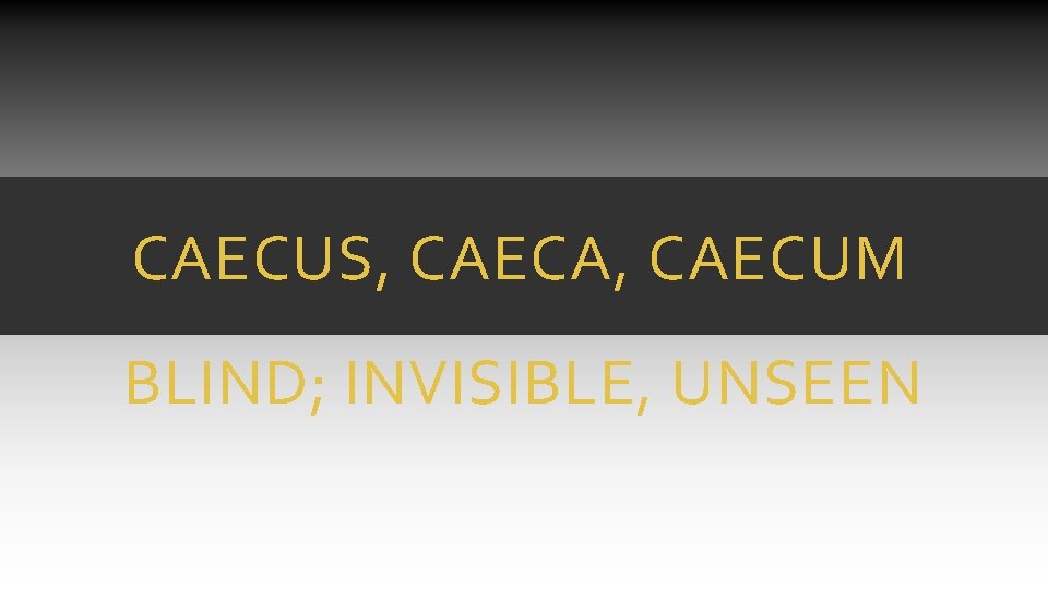 CAECUS, CAECA, CAECUM BLIND; INVISIBLE, UNSEEN CAECUS, CAECA, CAECUM BLIND; INVISIBLE, UNSEEN