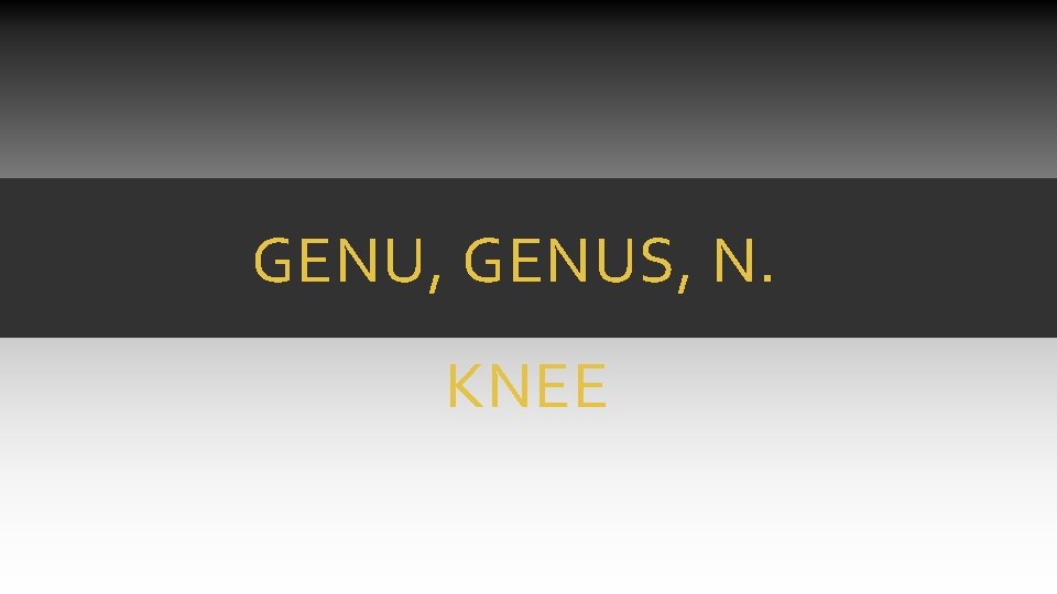 GENU, GENUS, N. KNEE GENU, GENUS, N. KNEE