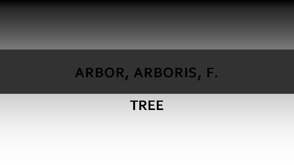 ARBOR, ARBORIS, F. TREE ARBOR, ARBORIS, F. TREE