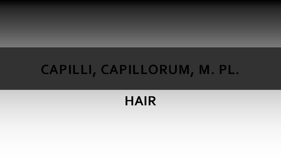 CAPILLI, CAPILLORUM, M. PL. HAIR CAPILLI, CAPILLORUM, M. PL. HAIR