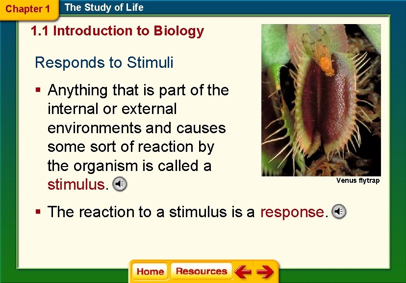 Chapter 1 The Study of Life 1. 1 Introduction to Biology Responds to Stimuli