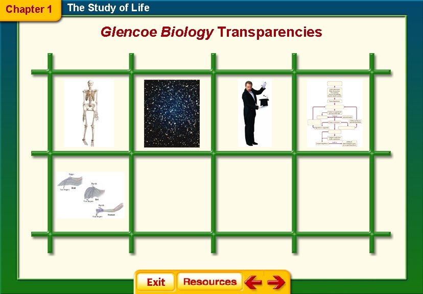 Chapter 1 The Study of Life Glencoe Biology Transparencies 