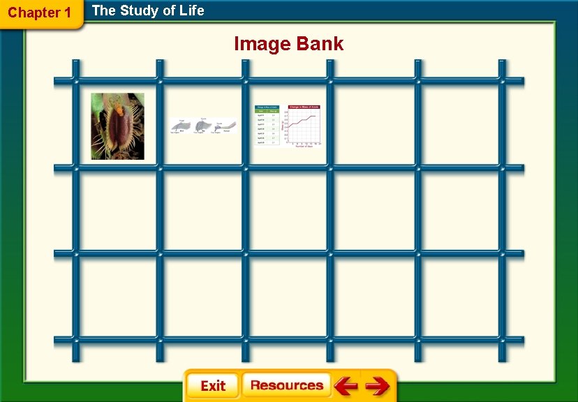 Chapter 1 The Study of Life Image Bank 