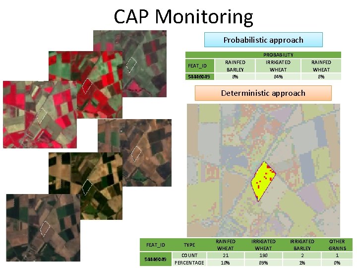 CAP Monitoring Probabilistic approach FEAT_ID 54446049 RAINFED BARLEY 8% PROBABILITY IRRIGATED WHEAT 84% RAINFED