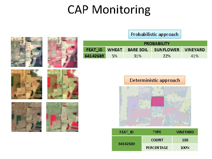 CAP Monitoring Probabilistic approach FEAT_ID WHEAT 64142689 5% PROBABILITY BARE SOIL SUNFLOWER 31% 22%