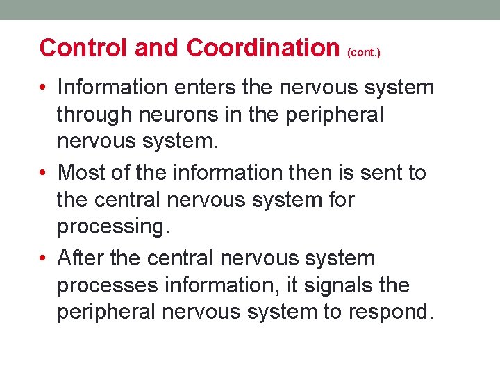 Control and Coordination (cont. ) • Information enters the nervous system through neurons in Control and Coordination (cont. ) • Information enters the nervous system through neurons in